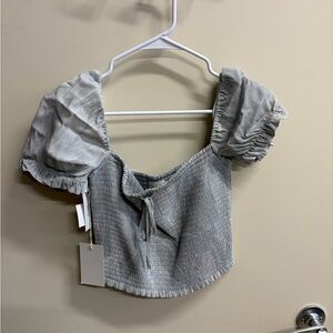 New Aritzia Light Gray Smocked Crop Top